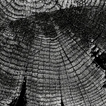 Live at Rex Theatre, Pittsburg USA. April 20th 2003.