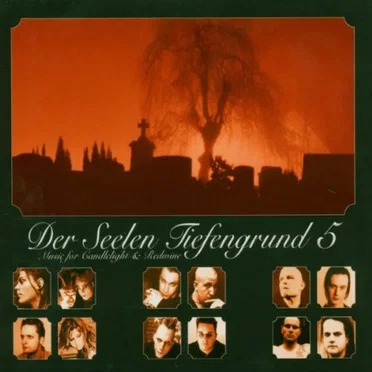 Der Seelen Tiefengrund 5 by Various Artists - album cover