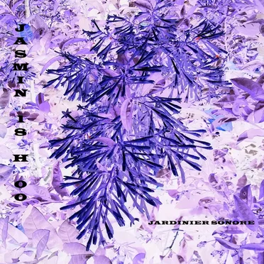 JASMIN 18H00