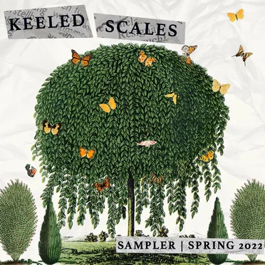Keeled Scales | Spring 2022 Sampler by Various Artists - album cover