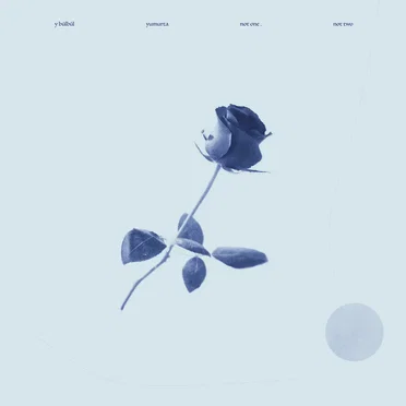 Not One, Not Two by Y Bülbül - album cover
