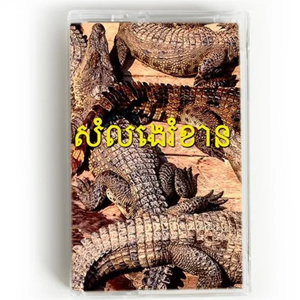 SE Asian Noise(s)