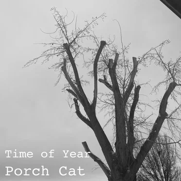 Porch Cat