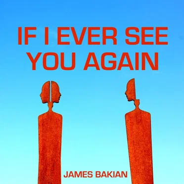 If I Ever See You Again