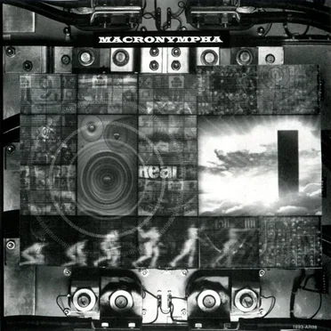 Membranes and Black Holes