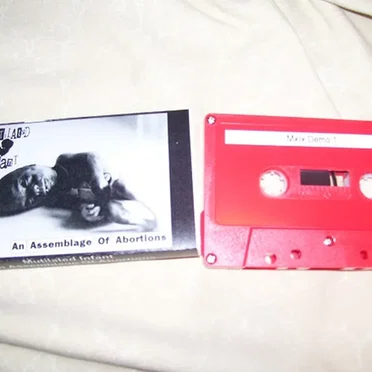 An Assemblage Of Abortions