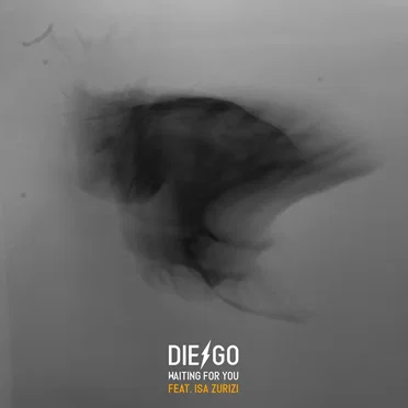 Waiting For You by Die-Go - album cover