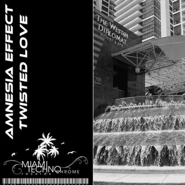 Twisted Love by Amnesia Effect - album cover