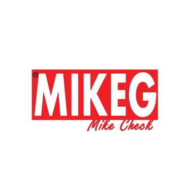Mike Check by Mike G - album cover
