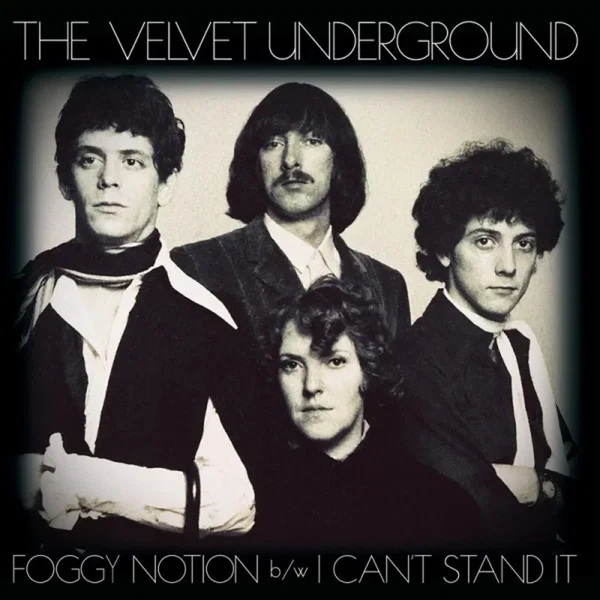Foggy Notion / I Can't Stand It