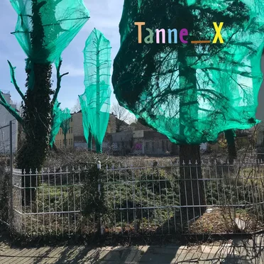 Tanne_X by Akeli - album cover