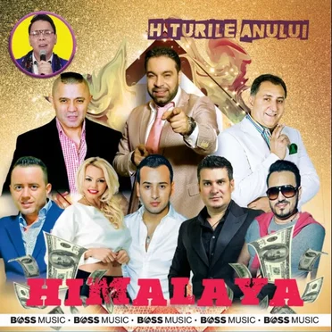 Himalaya - Hiturile anului by Various Artists - album cover