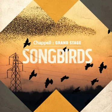 Songbirds by Ben Cocks - album cover