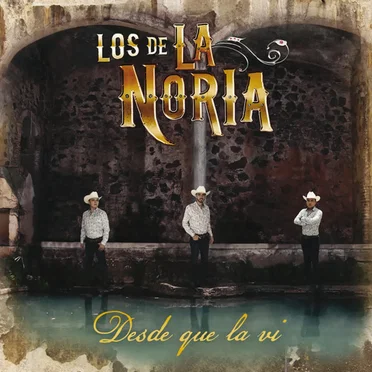 Desde que la vi by Los De La Noria - album cover