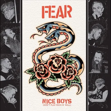 Nice Boys (Don't Play Rock N' Roll)