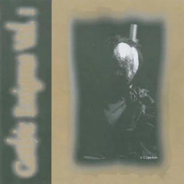 Gothic Enigma Vol. 1 by Various Artists - album cover