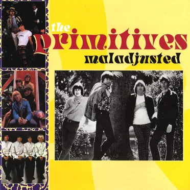 The Primitives
