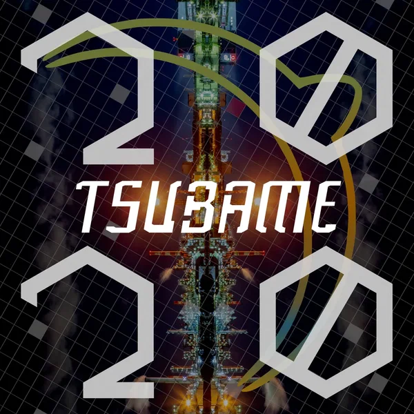 TSUBAME2020