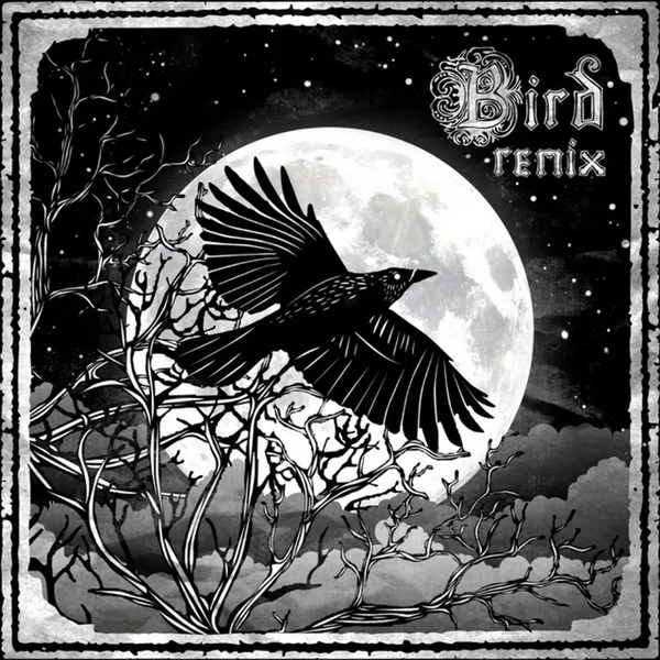 Shadows (the remixes)