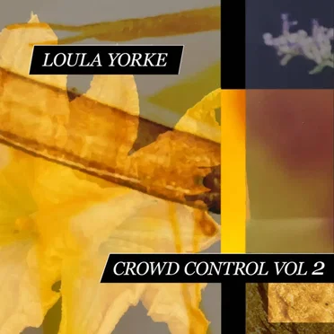 Crowd Control Vol 2 by Loula Yorke - album cover