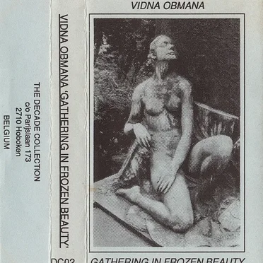 Gathering in Frozen Beauty