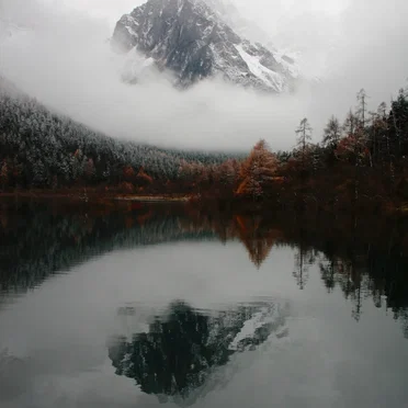 Society Is a Nurse Floating on a River of the Human Heart