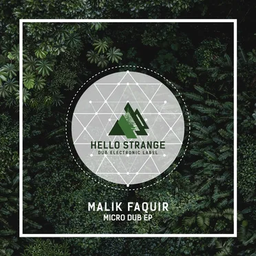 Micro Dub EP by Malik Faquir - album cover