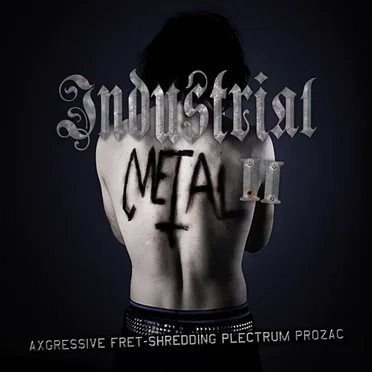 Industrial Metal 2 by Various Artists - album cover