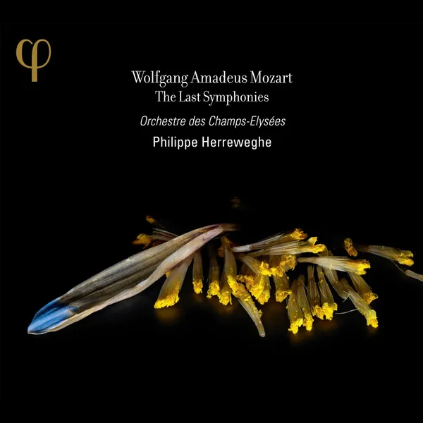 The Last Symphonies