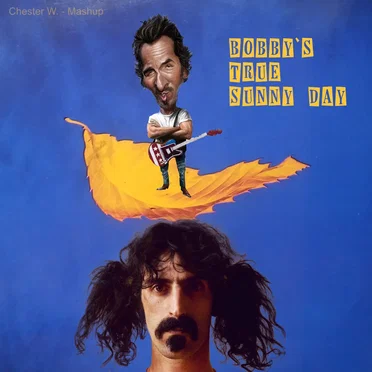 Bobby’s True Sunny Day (New Order vs. Bruce Springsteen vs. Frank Zappa vs. VA)
