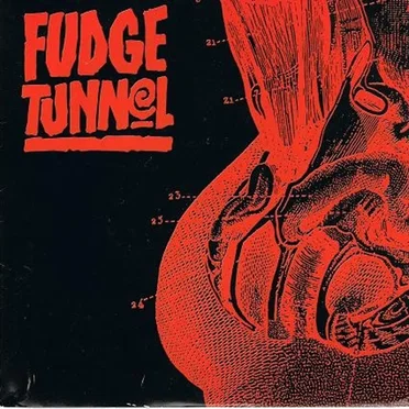 Fudge Tunnel