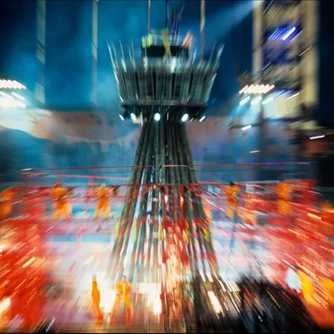 The Tree That Went Up