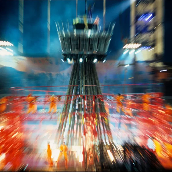 The Tree That Went Up