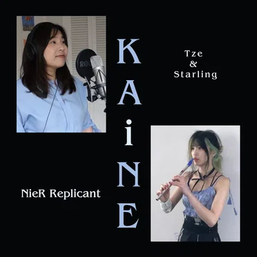 Kaine (from “NieR Replicant”)