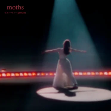 moths