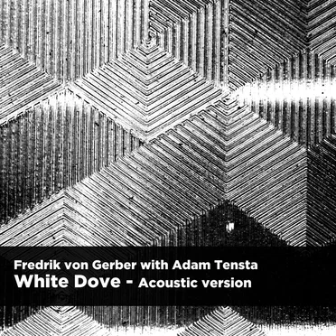 White Dove (acoustic version)