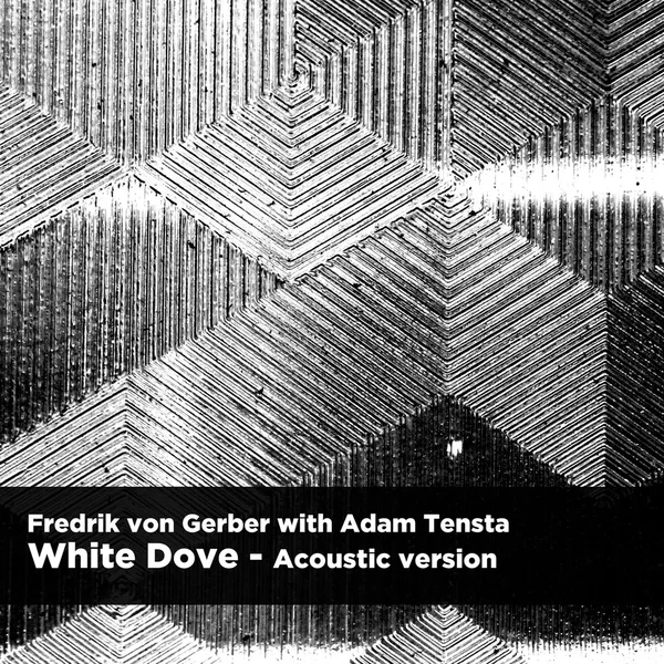 White Dove (acoustic version)