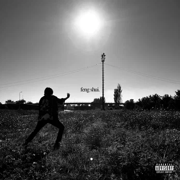 feng shui by GoldX - album cover
