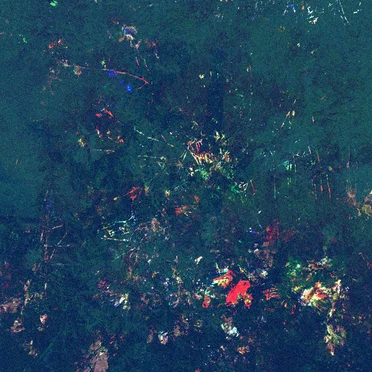 Light Road Record Universe