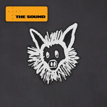 The Sound by Miss Tiny - album cover