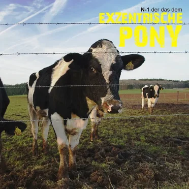 der das dem EXZENTRISCHE PONY