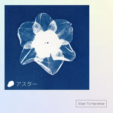 アスター