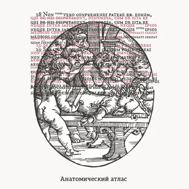 Анатомический атлас by Various Artists - album cover