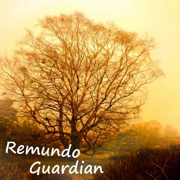 Guardian