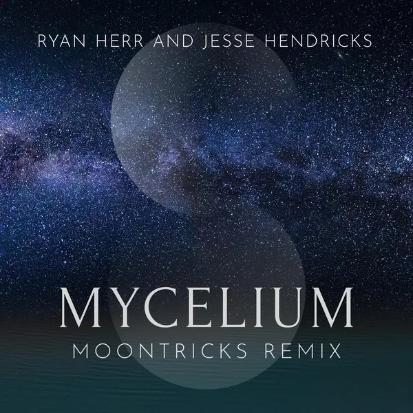 Mycelium (Moontricks remix)