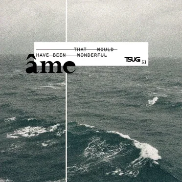 That Would Have Been Wonderful