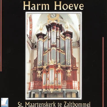 St. Maartenskerk te Zaltbommel