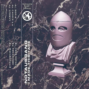 I Made This Tape by Notausgang - album cover