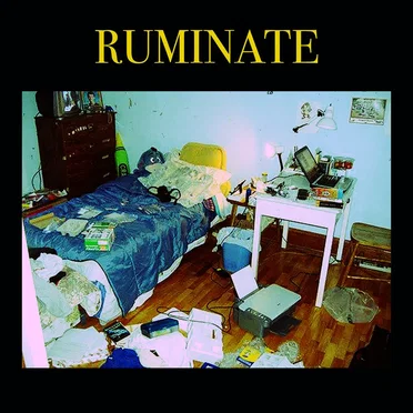 Ruminate by Damien Styles - album cover