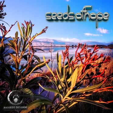 Seeds Of Hope by Various Artists - album cover